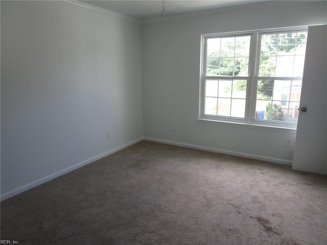 1314 18th St, Chesapeake, VA 23324 - unfurnished room featuring carpet floors and ornamental molding
