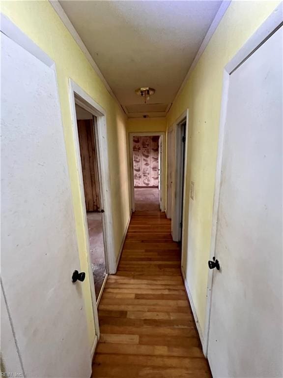 5410 Gum Fork Rd, Gloucester, VA 23061 - corridor featuring light wood-style flooring and ornamental molding