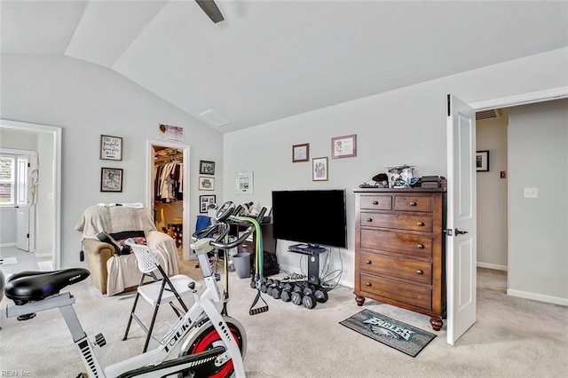 145 Blessing Cir, Suffolk, VA 23434 - workout room featuring lofted ceiling and light colored carpet