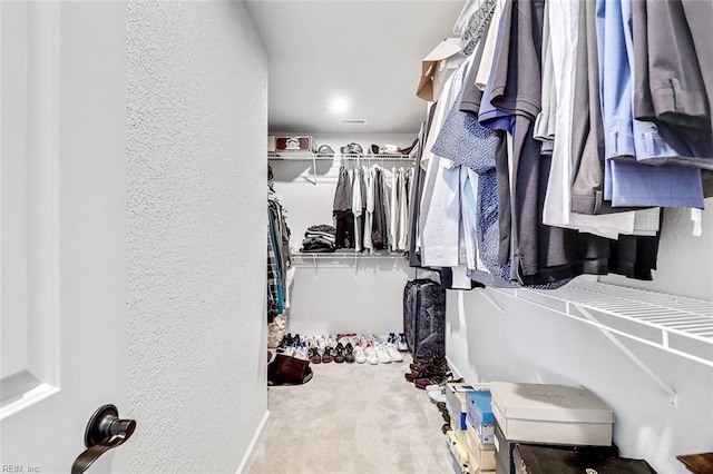 145 Blessing Cir, Suffolk, VA 23434 - walk in closet with carpet flooring