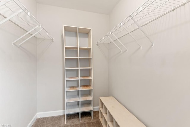 923 Hill St, Chesapeake, VA 23324 - spacious closet featuring carpet