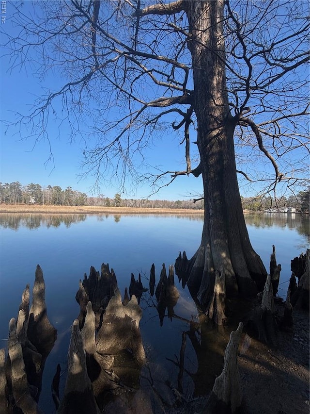 339 Neck O Land Rd, Williamsburg, VA 23185
