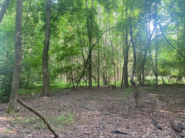 339 Neck O Land Rd, Williamsburg, VA 23185