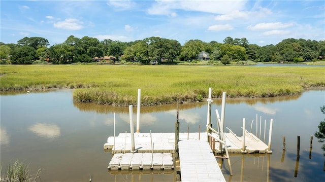 556 Summers Dr, Norfolk, VA 23509 - dock featuring a water view