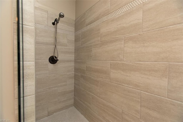 108 Sunrise Bluff Ct, Smithfield, VA 23430 - full bath with a tile shower