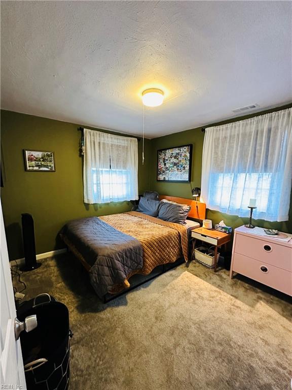 1204 Holly Ave, Chesapeake, VA 23324 - bedroom with multiple windows, carpet flooring, and a textured ceiling