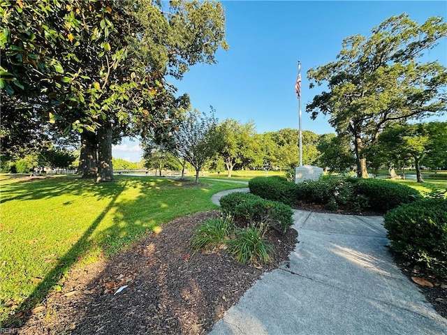1204 Holly Ave, Chesapeake, VA 23324 - view of green lawn