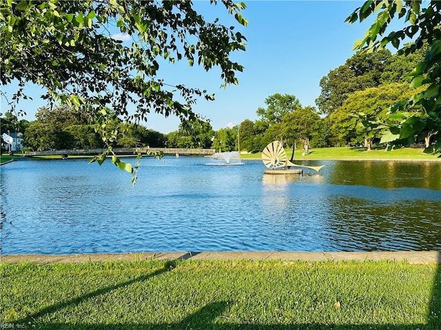 1204 Holly Ave, Chesapeake, VA 23324 - water view