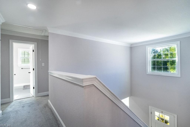 1161 Bells Mill Rd, Chesapeake, VA 23322 - corridor featuring attic access, crown molding, carpet floors, and an upstairs landing