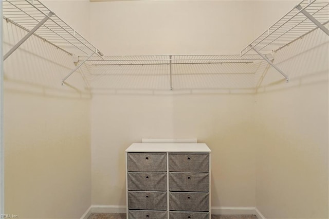 102 Saddle Dr, Newport News, VA 23602 - view of walk in closet