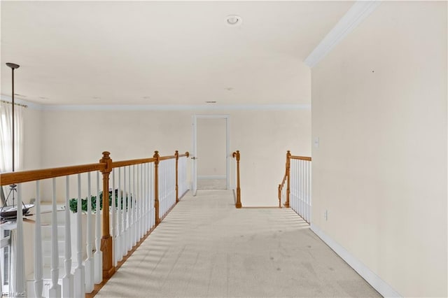 1938 Lancing Crest Ln, Chesapeake, VA 23323 - corridor featuring ornamental molding and light carpet