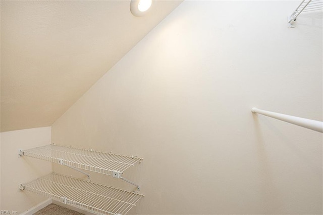 751 S Lake Cir, Chesapeake, VA 23322 - spacious closet featuring lofted ceiling
