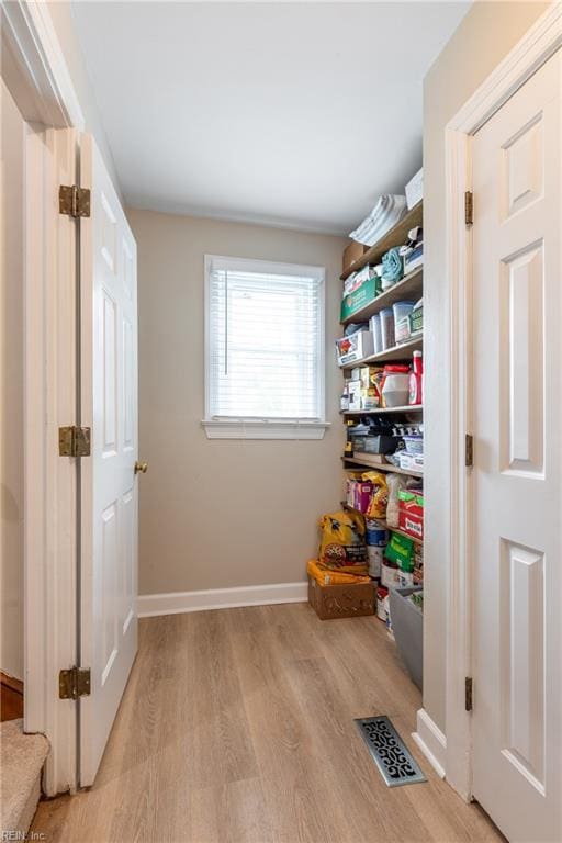 520 Foxgate Quarter Quarter, Chesapeake, VA 23322 - view of pantry