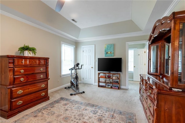520 Foxgate Quarter Quarter, Chesapeake, VA 23322 - workout area with a raised ceiling, light carpet, and ornamental molding
