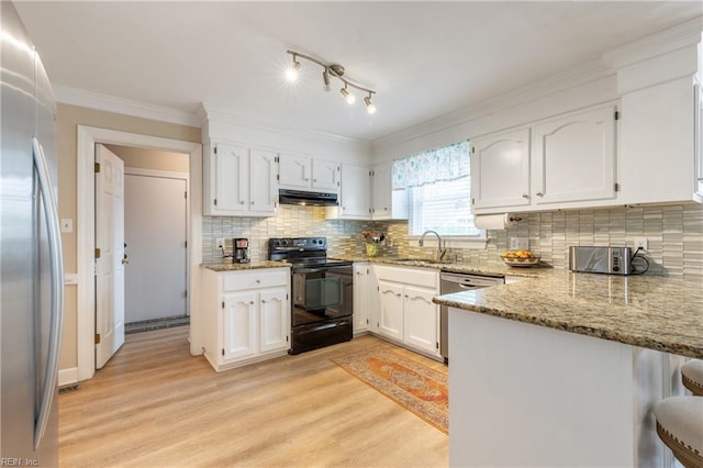 520 Foxgate Quarter Quarter, Chesapeake, VA 23322 - kitchen featuring appliances with stainless steel finishes, under cabinet range hood, light wood-style flooring, a peninsula, and white cabinets