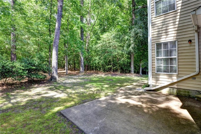 3957 Driftwood Way, Williamsburg, VA 23188 - view of green lawn featuring a patio area