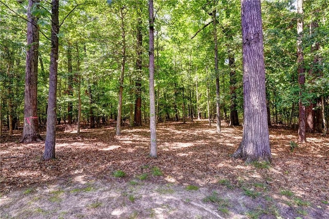 3957 Driftwood Way, Williamsburg, VA 23188 - view of woods