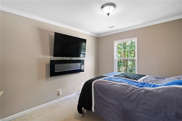 200 Burgundy Rd, Williamsburg, VA 23185 - bedroom featuring carpet floors and crown molding