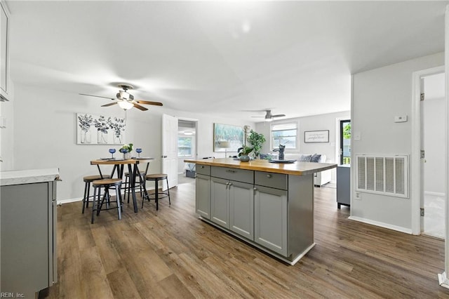 2007 Winfree Rd, Hampton, VA 23663 - kitchen featuring gray cabinetry, ceiling fan, wooden counters, and dark wood-style floors