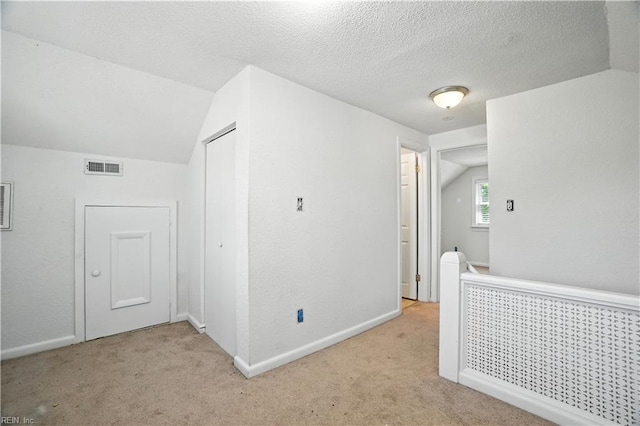 3559 Brest Ave, Norfolk, VA 23509 - additional living space with carpet, lofted ceiling, and a textured ceiling