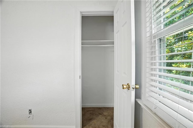3559 Brest Ave, Norfolk, VA 23509 - view of closet