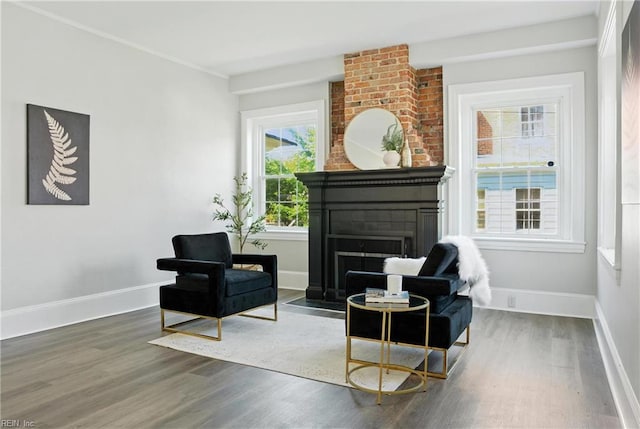 227 N Saratoga St, Suffolk, VA 23434 - living area featuring a large fireplace and wood finished floors