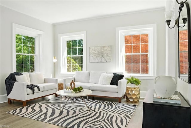 227 N Saratoga St, Suffolk, VA 23434 - living area featuring wood finished floors and crown molding