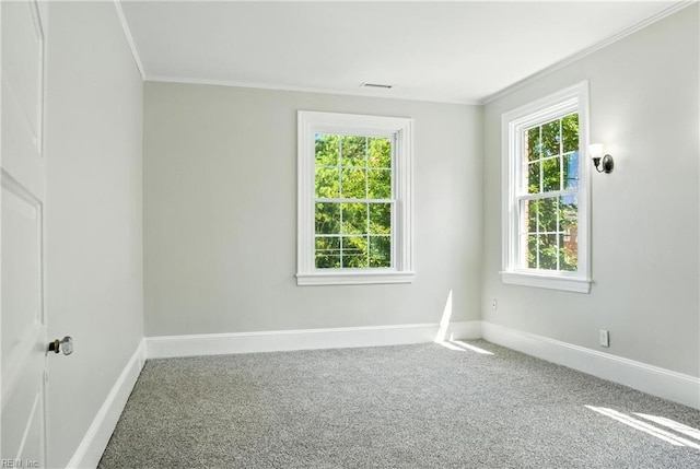 227 N Saratoga St, Suffolk, VA 23434 - unfurnished room with crown molding, plenty of natural light, and carpet