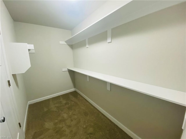 1400 Winslow Ave, Chesapeake, VA 23323 - walk in closet featuring dark colored carpet