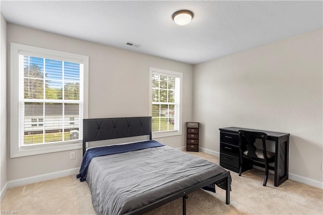 316 A Pocahontas Ave, Franklin, VA 23851 - bedroom featuring light colored carpet