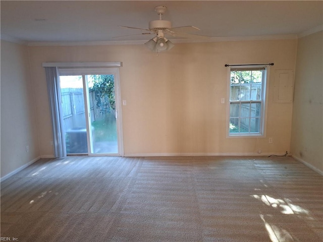 812 Liberal Arts Ct, Virginia Beach, VA 23462 - empty room with carpet, ceiling fan, and ornamental molding