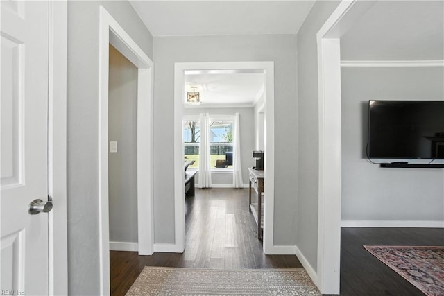 1245 Bells Mill Rd, Chesapeake, VA 23322 - corridor with dark wood-type flooring and ornamental molding