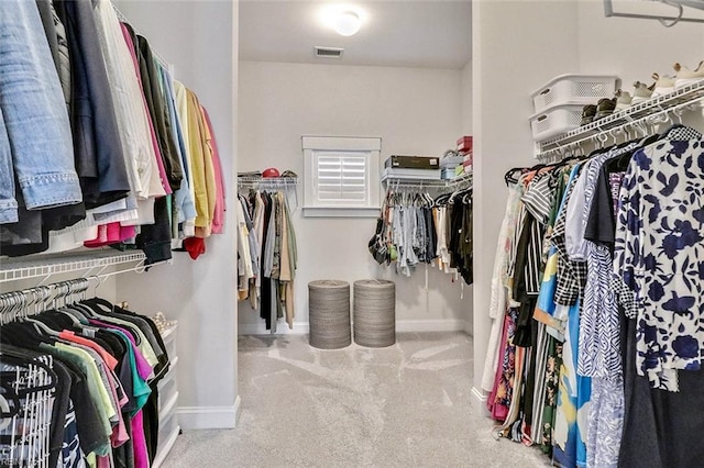 113 Saint Andrews, Smithfield, VA 23430 - walk in closet featuring carpet floors
