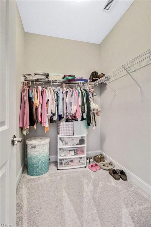 113 Saint Andrews, Smithfield, VA 23430 - spacious closet with carpet floors