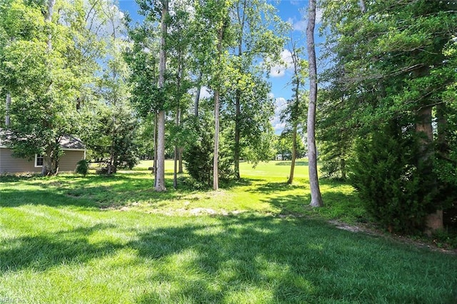 113 Saint Andrews, Smithfield, VA 23430 - view of grassy yard