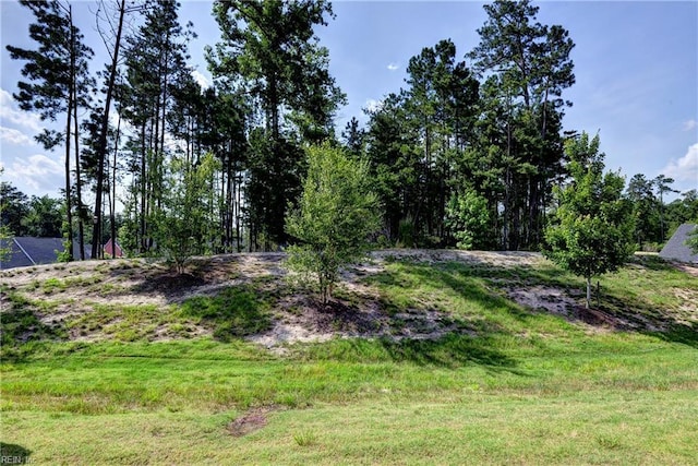 3419 Foxglove Dr, Toano, VA 23168 - view of yard