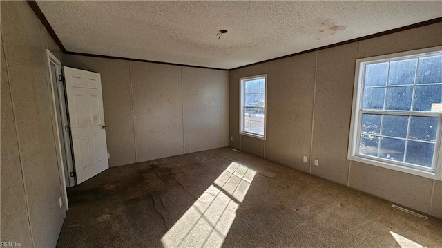 4371 Providence Rd, Hayes, VA 23072 - spare room featuring ornamental molding, a textured ceiling, and carpet flooring