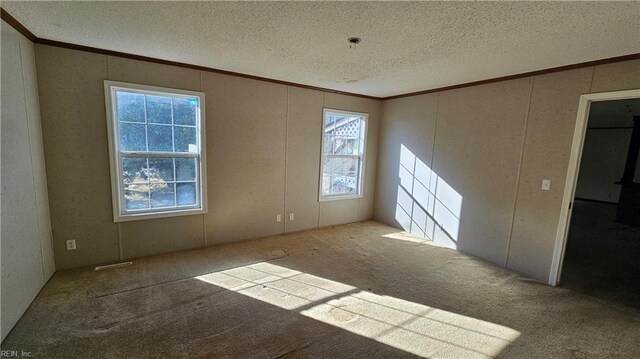 4371 Providence Rd, Hayes, VA 23072 - spare room with ornamental molding, carpet floors, a textured ceiling, and a decorative wall