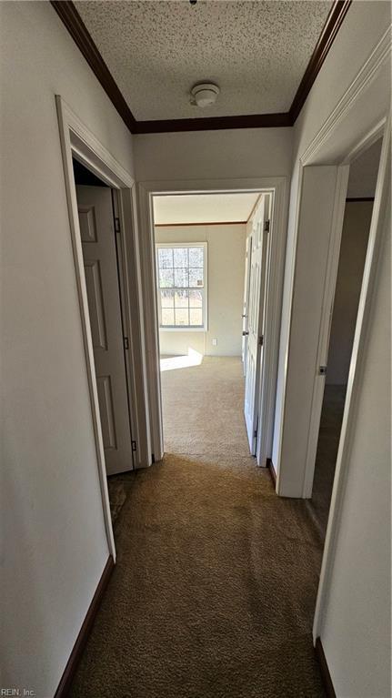 4371 Providence Rd, Hayes, VA 23072 - hallway with carpet floors, ornamental molding, and a textured ceiling