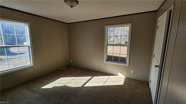 4371 Providence Rd, Hayes, VA 23072 - unfurnished room featuring plenty of natural light, carpet floors, a textured ceiling, ornamental molding, and a decorative wall