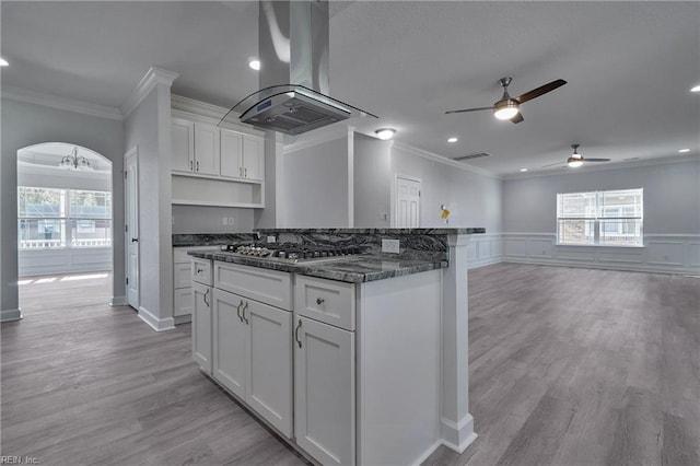 115 Pescara Ln, Newport News, VA 23601 - kitchen featuring island range hood, ornamental molding, stainless steel gas stovetop, ceiling fan, and healthy amount of natural light
