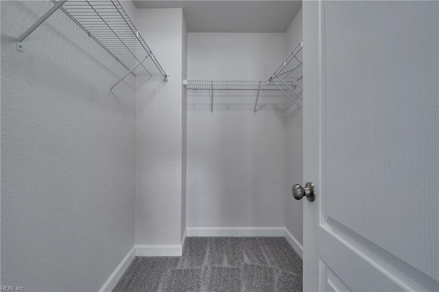 115 Pescara Ln, Newport News, VA 23601 - spacious closet with dark colored carpet