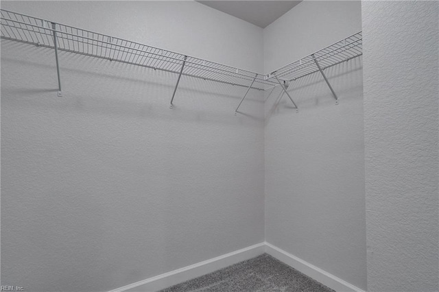 115 Pescara Ln, Newport News, VA 23601 - spacious closet with dark colored carpet