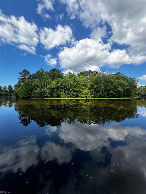 1832 Pitchkettle Rd, Suffolk, VA 23434 - water view featuring a forest