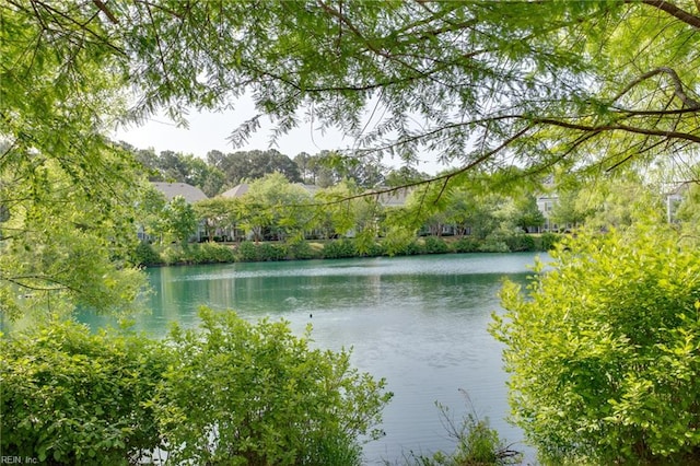 5212 Moreland St Unit 450, Suffolk, VA 23435 - water view