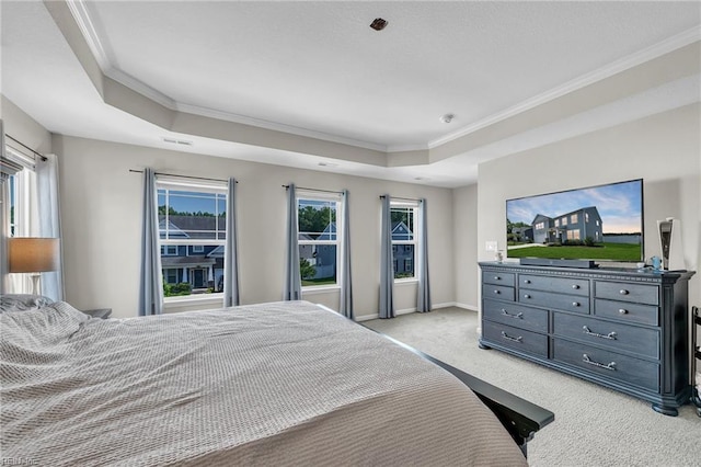 1014 Raven Hill Rd, Suffolk, VA 23434 - bedroom featuring light colored carpet, crown molding, and a tray ceiling
