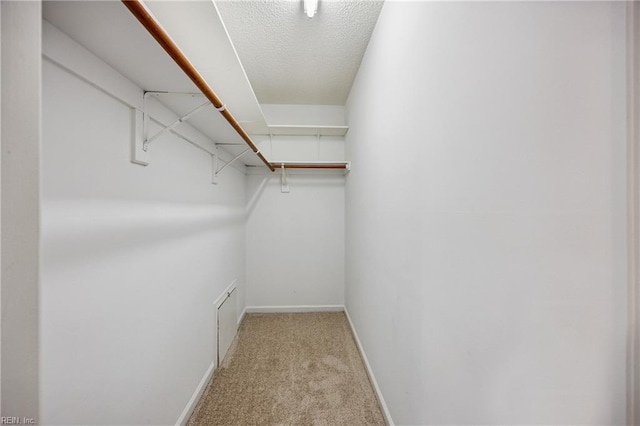 563 Seahorse Run, Chesapeake, VA 23320 - spacious closet with carpet floors