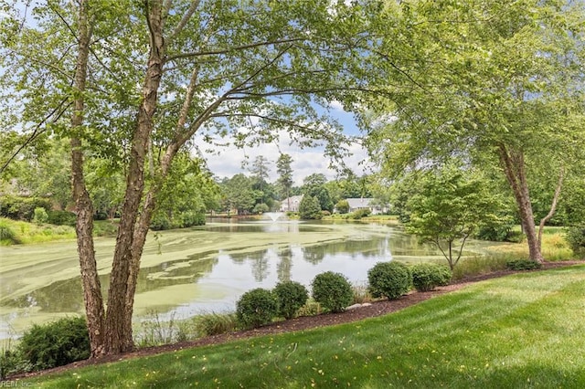 2841 Bennetts Pond Rd, Williamsburg, VA 23185 - water view