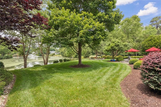2841 Bennetts Pond Rd, Williamsburg, VA 23185 - view of grassy yard