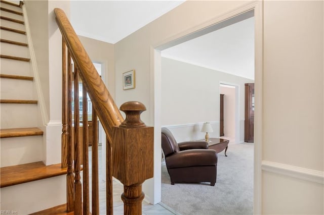 106 Deep Water Cv, Newport News, VA 23606 - stairs featuring carpet flooring